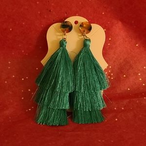 Beautiful multicolored tassle earrings